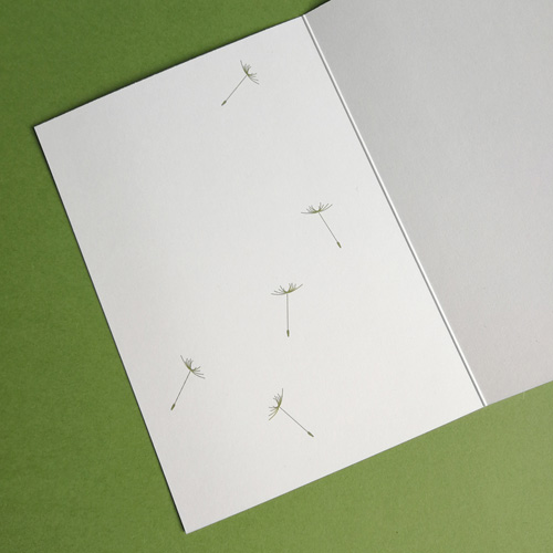 Recycled greeting cards with dandelion seeds