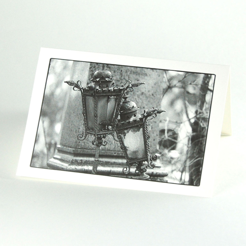 new year greeting cards, photography