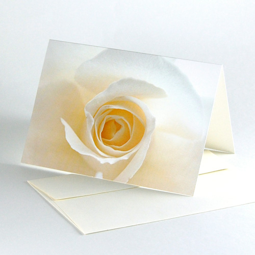 Recycled greeting cards with recycled envelopes