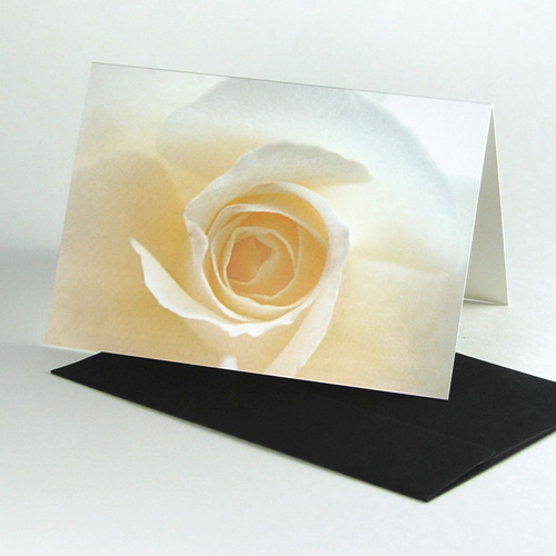 Recycled greeting cards with recycled envelopes