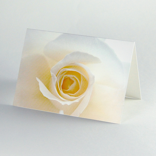 Memorial Stationary: White Rose