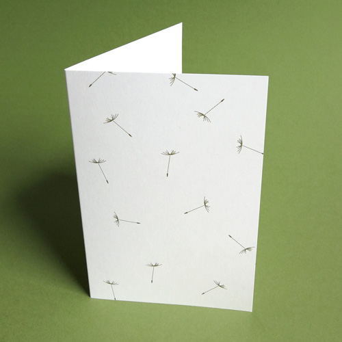 Memorial Stationary: Blown by the Wind