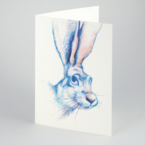 Greeting Cards: Hare
